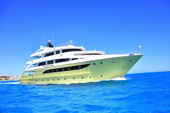 Home | Red Sea Explorers